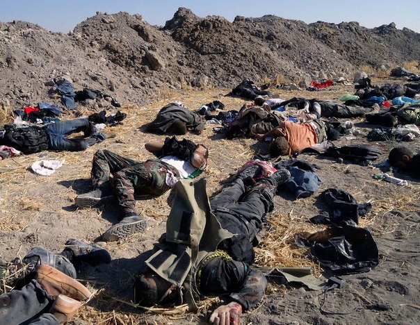 Syria 2014 3